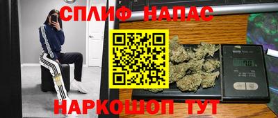 мяу мяу мука Гатчина