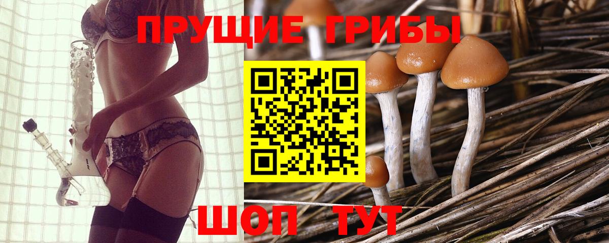 Галлюциногенные грибы мухоморы  Вход с VPN  Псилоцибиновые грибы Psilocybe  Наро-Фоминск 